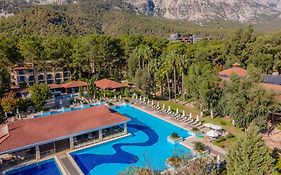 Champion Holiday Village